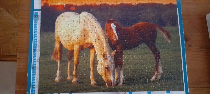 Puzzle "jolis chevaux" - 500p - RAVENSBURGER  