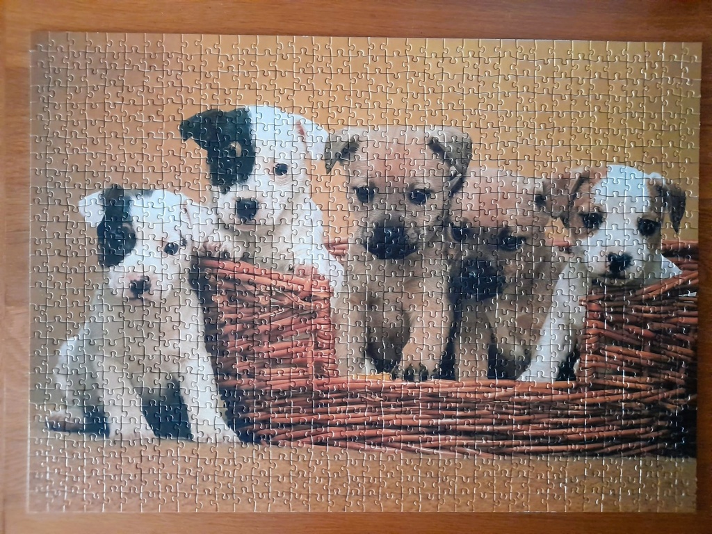 Puzzle "dans la corbeille"- 1000p - NATHAN 