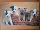 Puzzle "dans la corbeille"- 1000p - NATHAN 