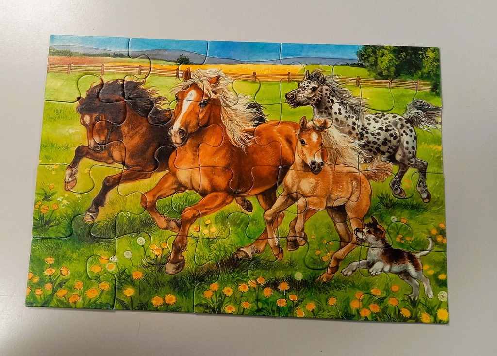 Puzzle "Le pré aux chevaux" 20p - RAVENSBURGER