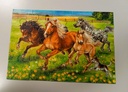 Puzzle "Le pré aux chevaux" 20p - RAVENSBURGER