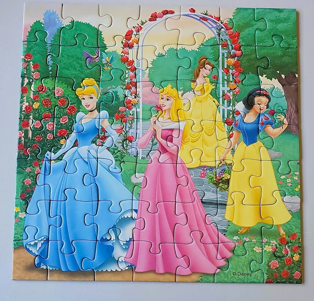 Puzzle "Rêves de princesses" 3x49p - RAVENSBURGER  