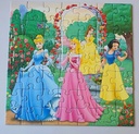 Puzzle "Rêves de princesses" 3x49p - RAVENSBURGER  