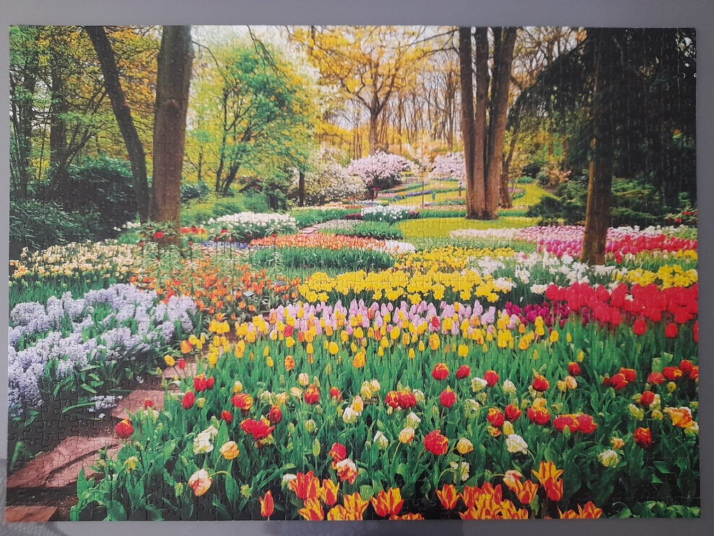 Puzzle "The netherlands" 1000p - KiNG