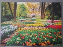 Puzzle "The netherlands" 1000p - KiNG