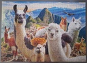 Puzzle "Les lamas du Machu-Picchu" 1000p - iNNOVAKiDS