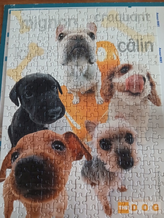 Puzzle "the dog family" 300p - RAVENSBURGER