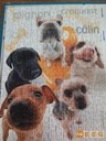 Puzzle "the dog family" 300p - RAVENSBURGER