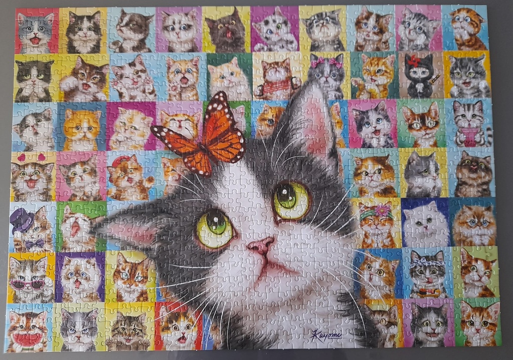 Puzzle "Mimiques de chat" 1000p - SCHMiDT