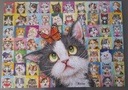 Puzzle "Mimiques de chat" 1000p - SCHMiDT