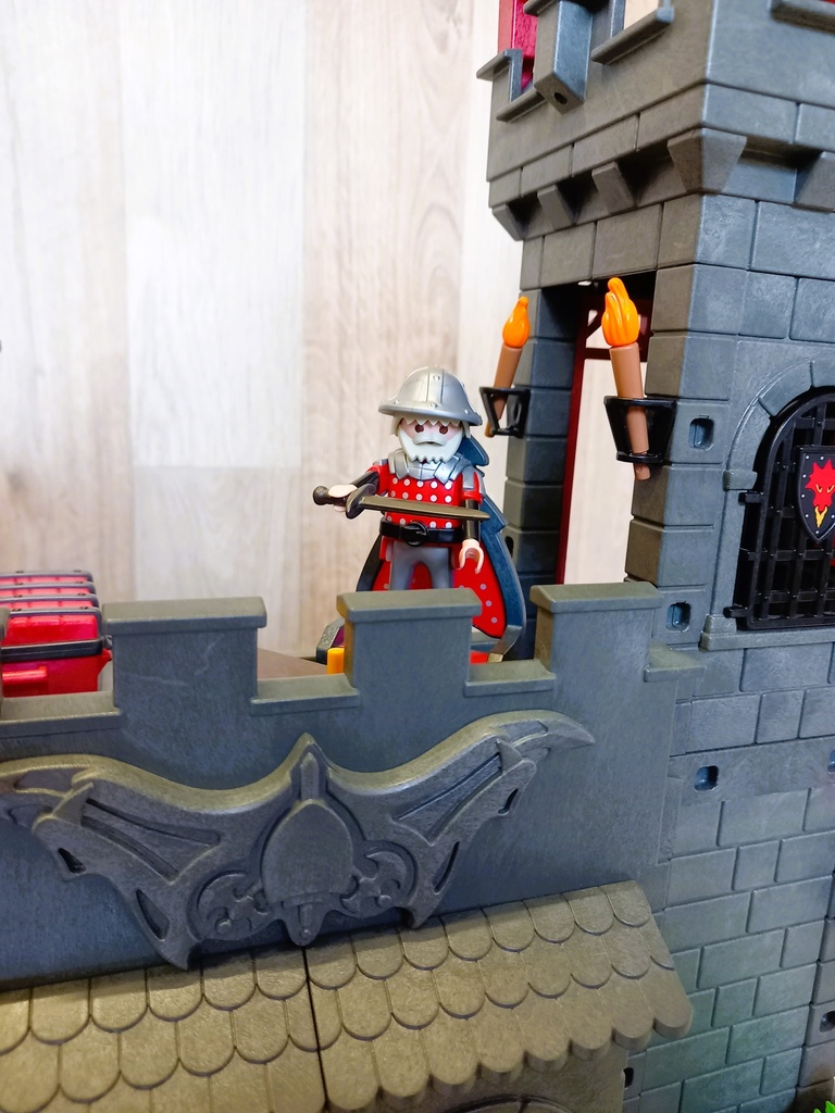La forteresse du dragon rouge - PLAYMOBiL