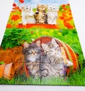 Puzzle "La découverte des chats" 2x12p - RAVENSBURGER 