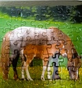 Puzzle "jument et son poulain 3x49p - RAVENSBURGER