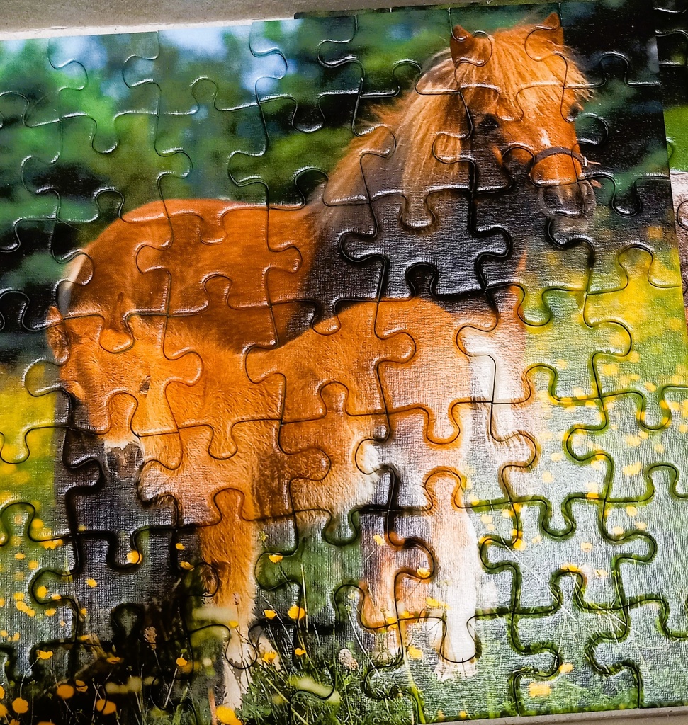 Puzzle "jument et son poulain 3x49p - RAVENSBURGER