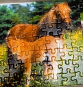 Puzzle "jument et son poulain 3x49p - RAVENSBURGER