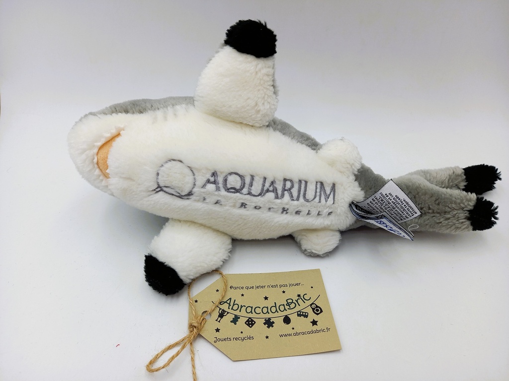 Requin 24cm - AQUARiUM LA ROCHELLE