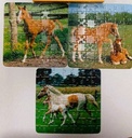 Puzzle Chevaux 3x56p - FX SCHMiD