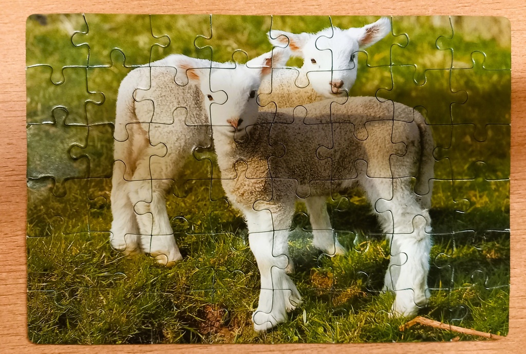 Puzzle « Agneaux et écureuil » 2X48p - SCHMiDT 