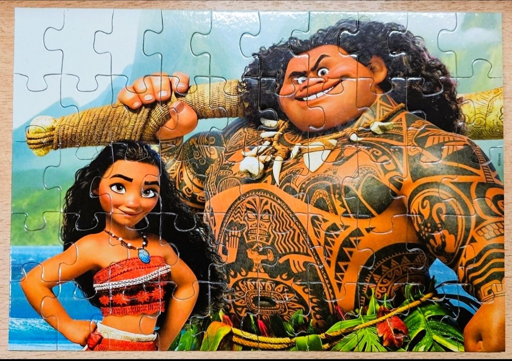 Puzzle bois "Vaina" 50p - EDUCA 