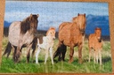 Puzzle chevaux avec poulains 200p - SCHMiDT