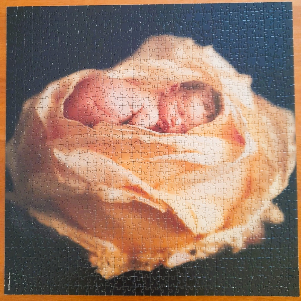 Puzzle Bébé rose - Anne Geddes -  1000p - SCHMiDT