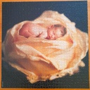 Puzzle Bébé rose - Anne Geddes -  1000p - SCHMiDT