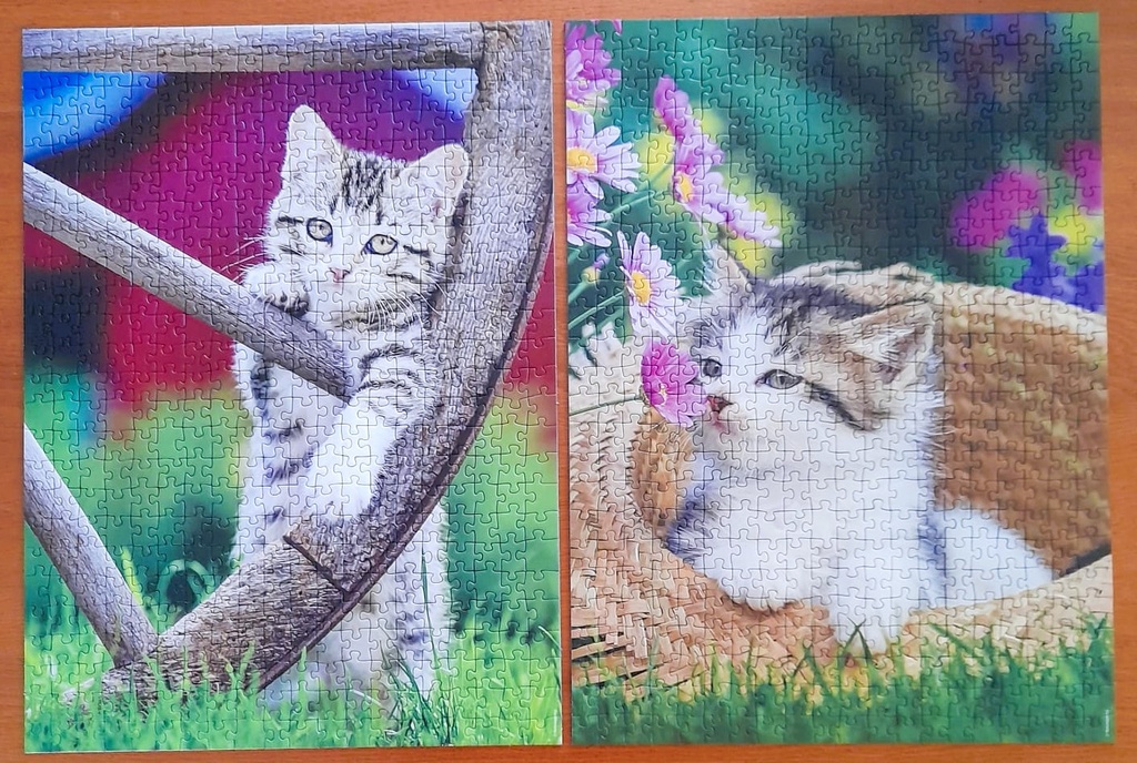 Puzzle "chat à la campagne" 2x500p - RAVENSBURGER