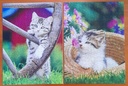 Puzzle "chat à la campagne" 2x500p - RAVENSBURGER