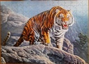 Puzzle "Tiger on the rock" 180p - CASTORLAND