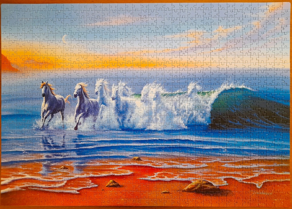 Puzzle "Jim Warren : wild waters" 1000p - CLEMENTONi   