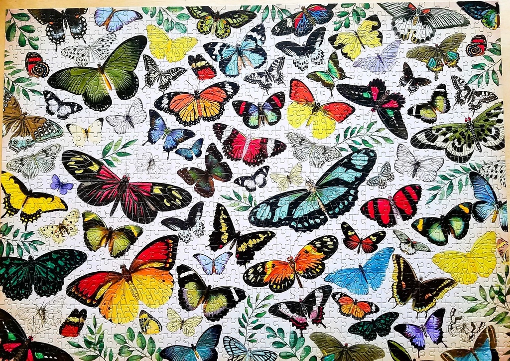 Puzzle "Papillon" 1000p - JUMBO
