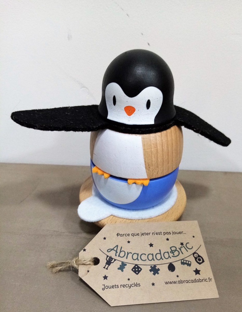 Pingouing d'encastrement - PLAYTiVE