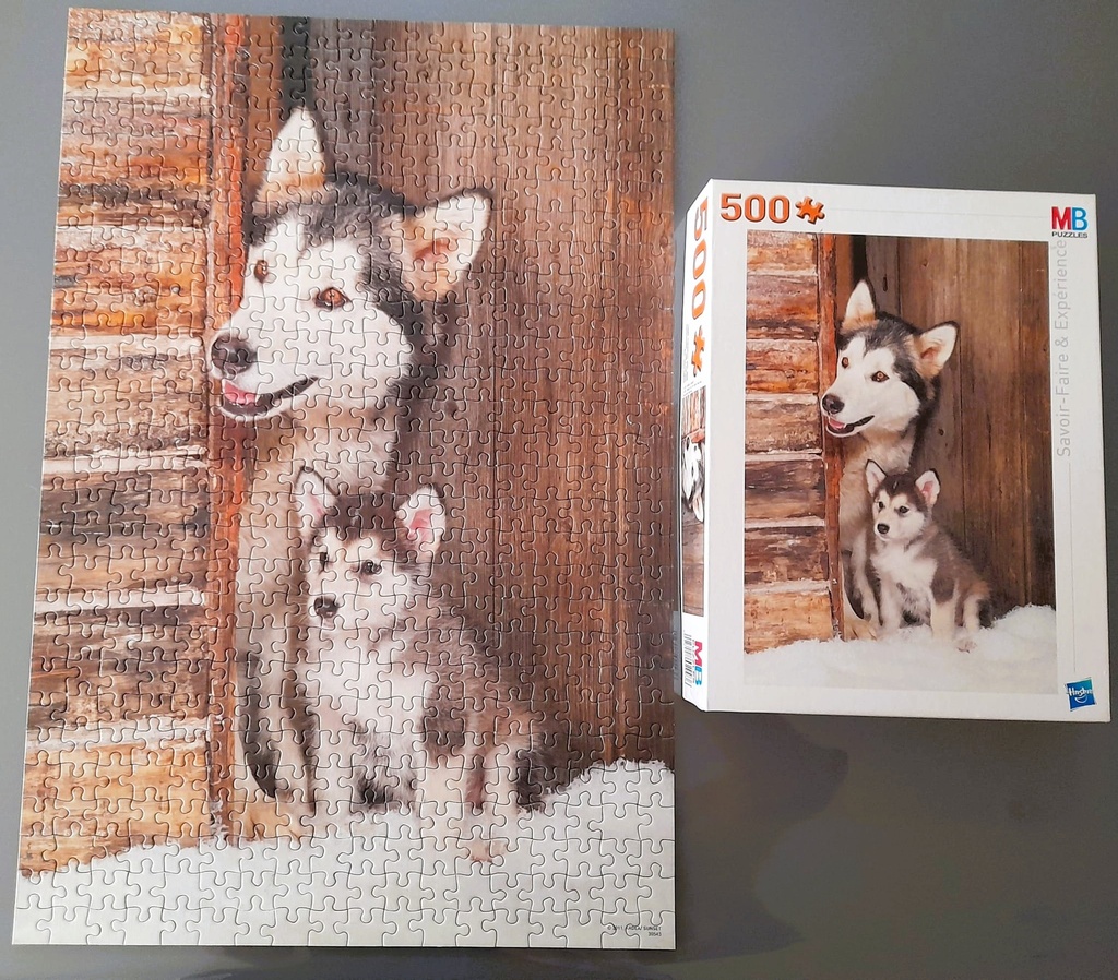 Puzzle chien malamute avec petit 500p - MB