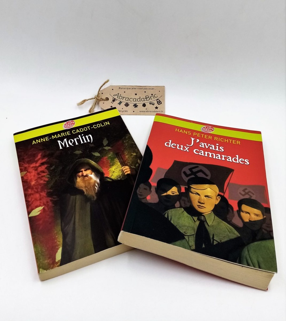 Lot x2 "Merlin" et "j'avais deux camarades" - LiVRE de POCHE