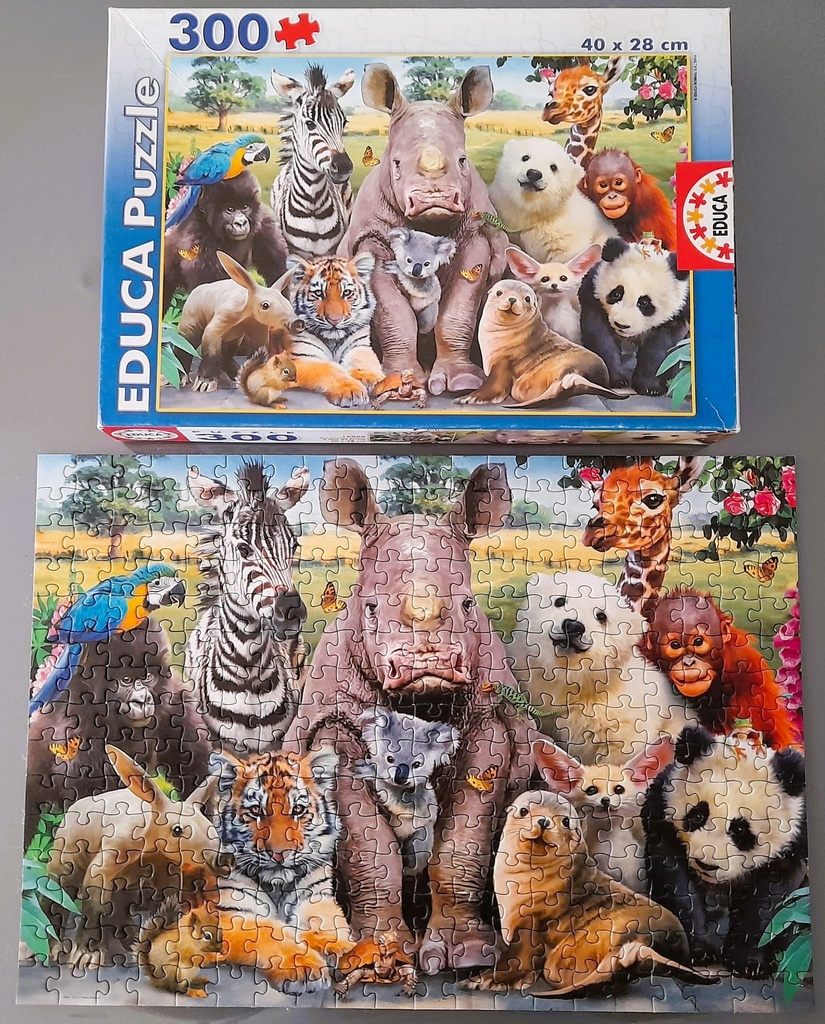 Puzzle monde 300p - EDUCA