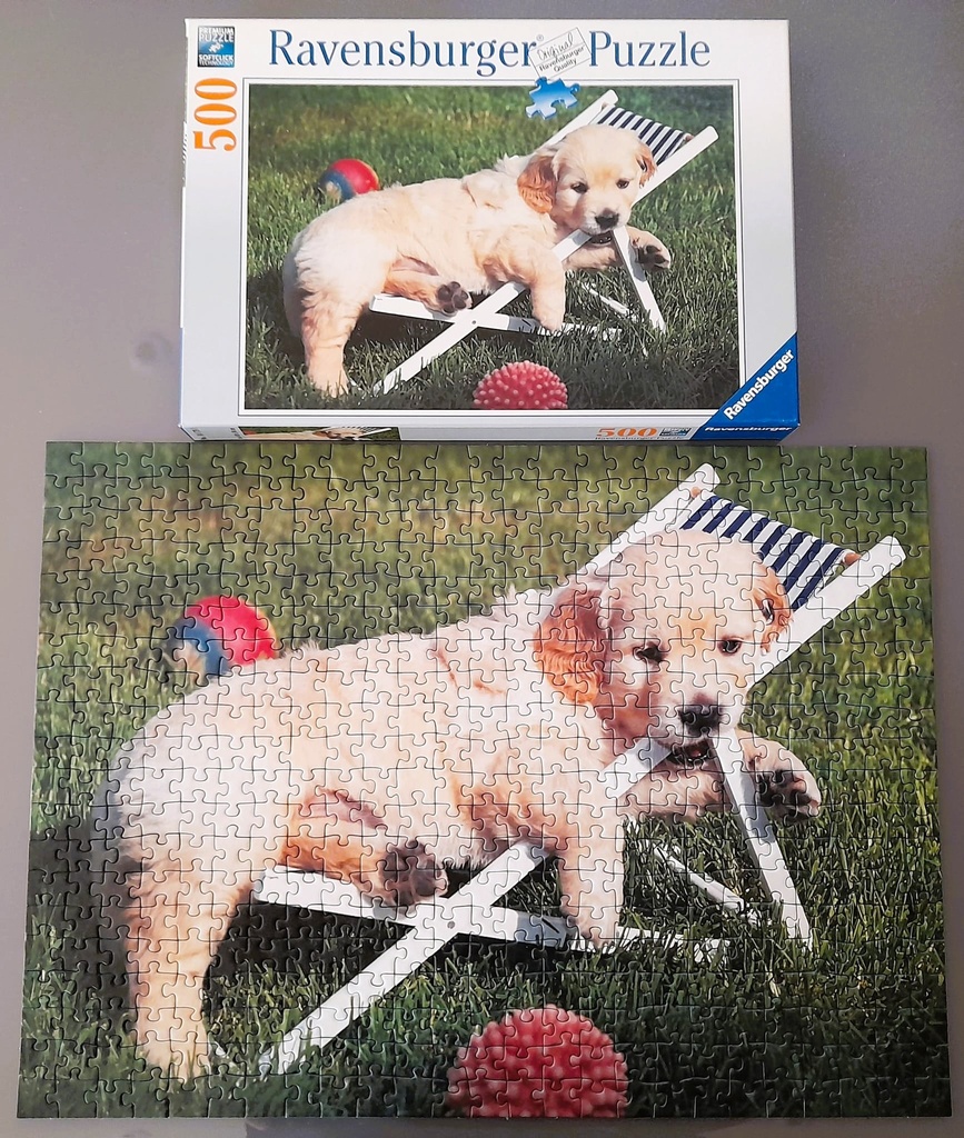 Puzzle chiot Golden Retriever 500p - RAVENSBURGER