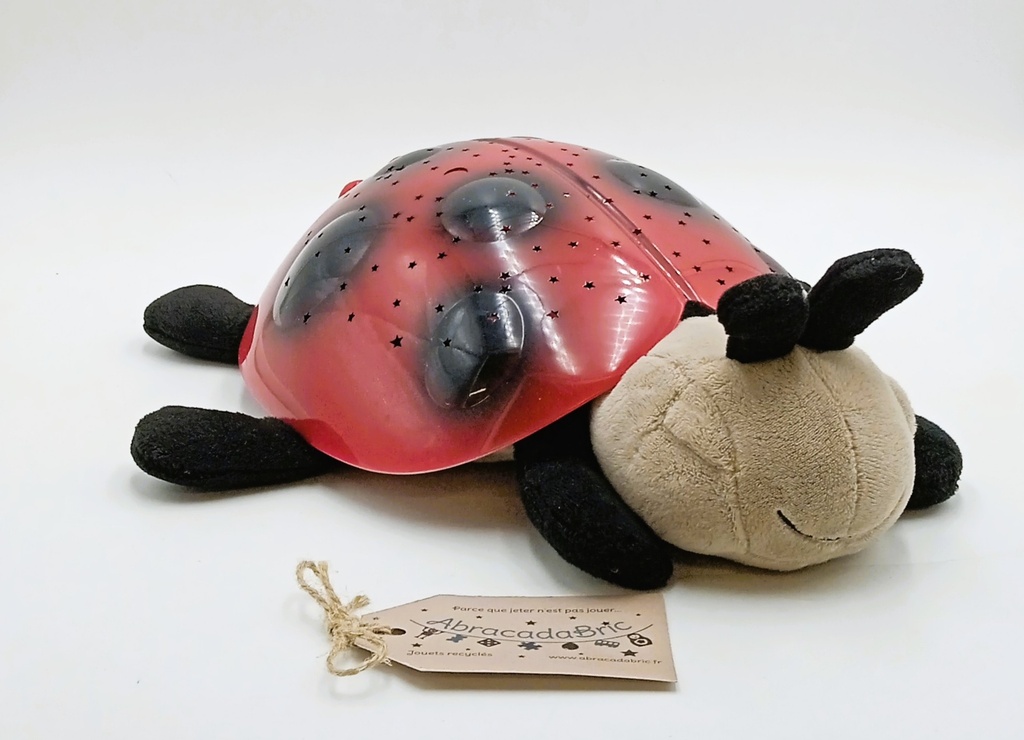 Veilleuse coccinelle - CLOUD B