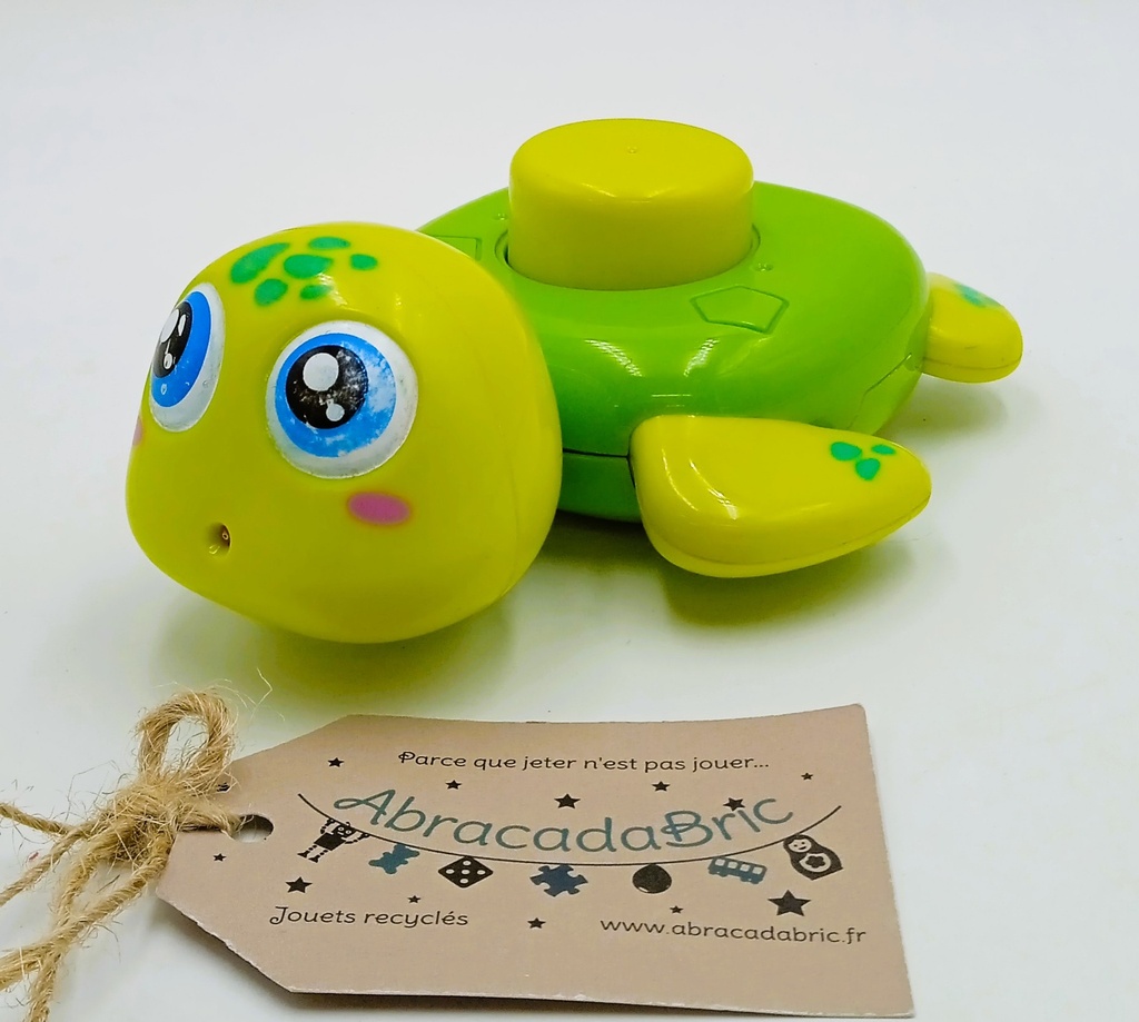 Tortue de bain