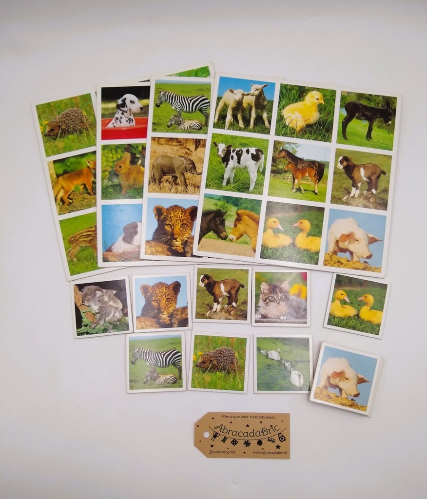 Loto des Animaux familiers - NATHAN