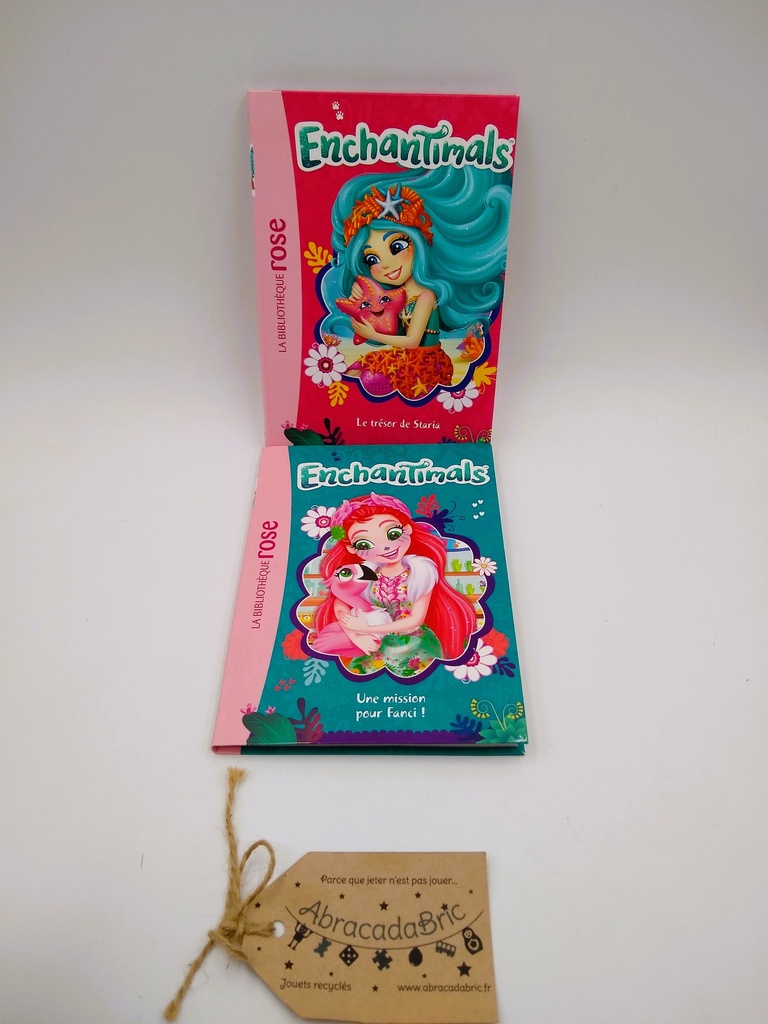 Lot x2 Enchantimals - LA BiBLiOTHEQUE ROSE