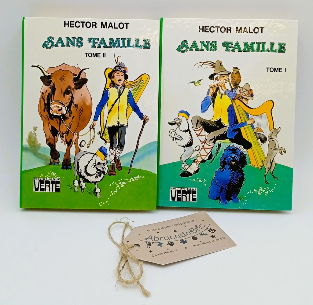 Lot x2 "Sans famille" Tome 1 et 2 vintage bibliothèque verte - HACHETTE