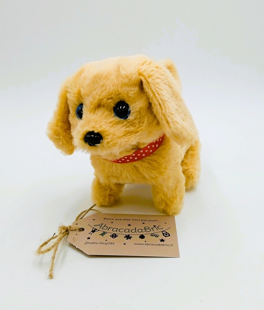 Chien sonore - ALBERTO SA SWiTZERLAND