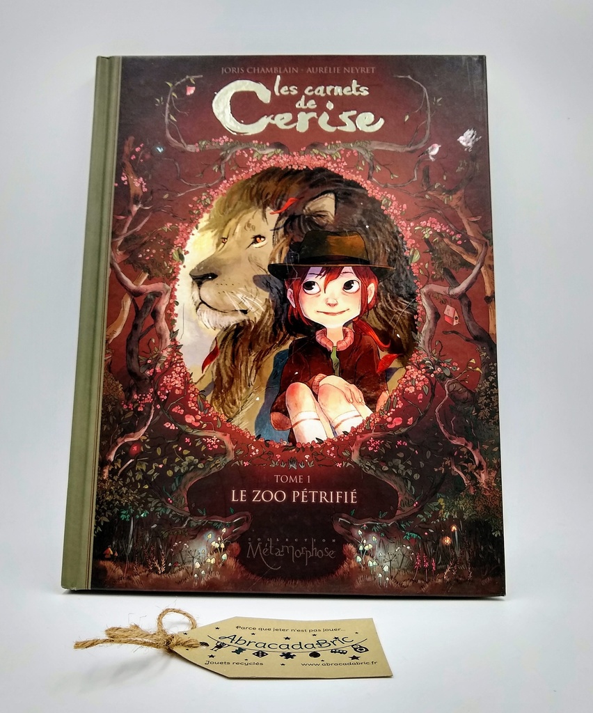Les carnets de Cerise tome 1 - SOLEiL