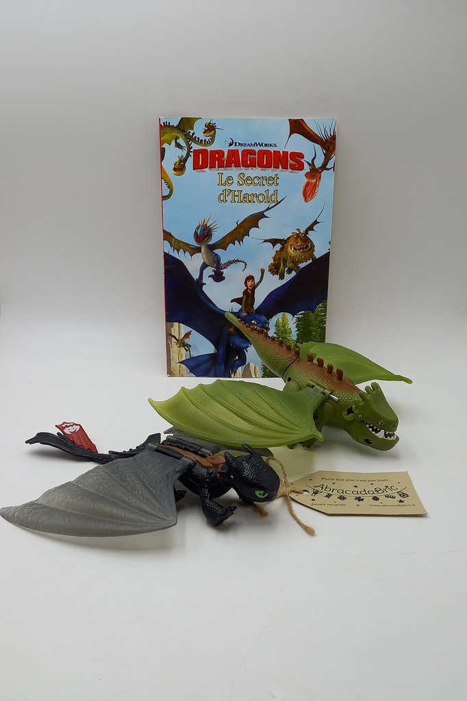 Figurines dragons et livre - DWALC