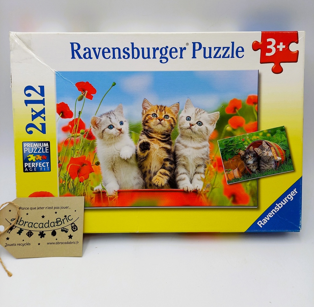 Puzzle "La découverte des chats" 2x12p - RAVENSBURGER 