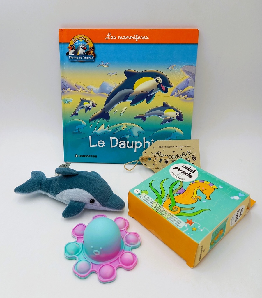 BOX surprise « dauphin » 