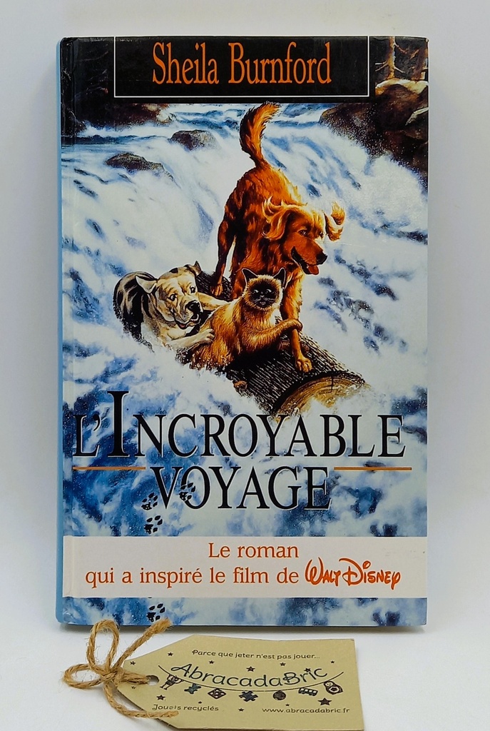 L'incroyable voyage