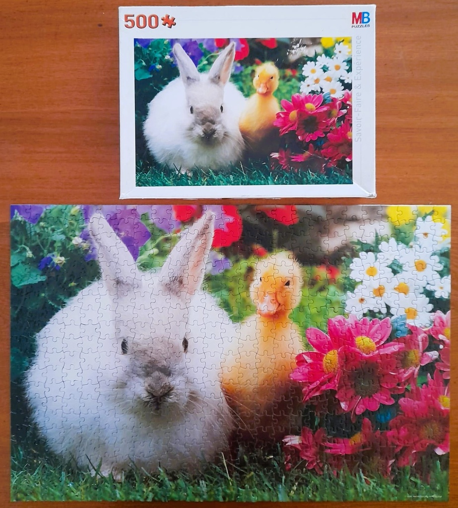 Puzzle "Promenade au jardin" 500p  - MB