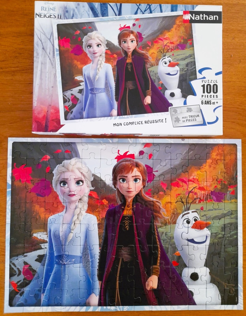 La reine des neiges - Un monde magique - 100p - NATHAN