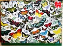 Puzzle "Papillon" 1000p - JUMBO